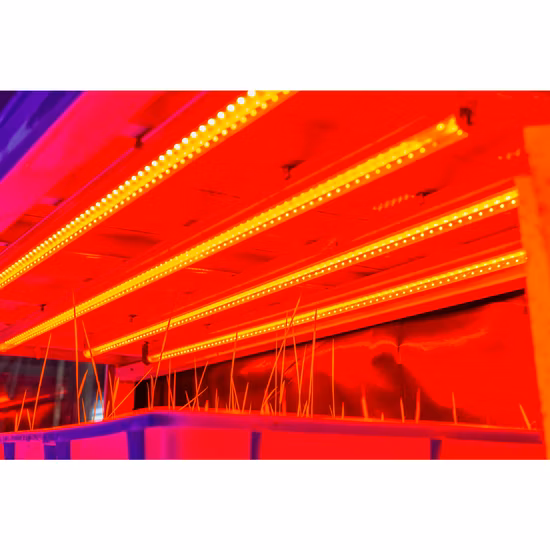 Landwirtschaftliche Hochleistungs-LED-Wachstumslampe, Pflanzenröhre, Wachstumslampe, LED, voll