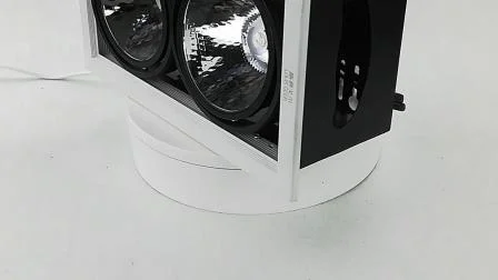 Kreative Retrofit-2*12W-Doppelkopf-LED-Grillleuchte mit hoher Helligkeit