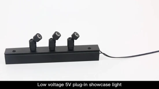 Abnehmbare 5V 1W LED-Leuchte zur Vitrinenbeleuchtung, Mini-LED-Strahler