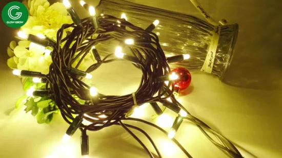 Fabrik Outdoor Weihnachten blinkende LED-String-Beleuchtung für Weihnachten Gewerbegebäude Urlaub festliche Haus Palme Hochzeit Dekoration