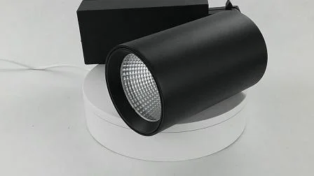 Global Track Lighting 10-Watt-LED-Schieneneinbauleuchte aus Aluminium für Schaufenster